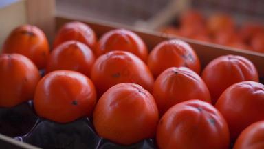 成熟的美味的柿子打包盒子特写镜头